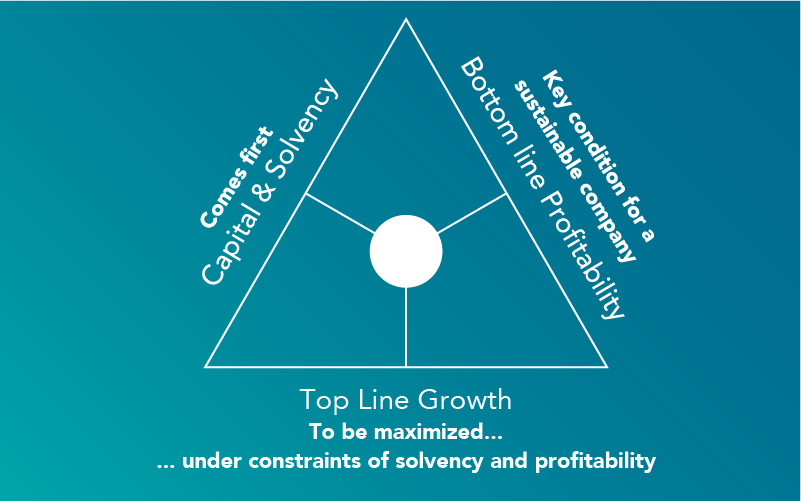 triangle for capital management