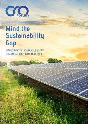 Mind the sustainability gap