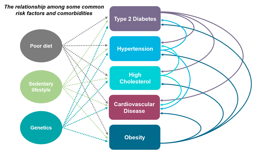 Relationship among some common risk factors and comorbidities