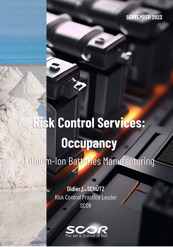 Lithium Ion Batteries Manufacturing cover