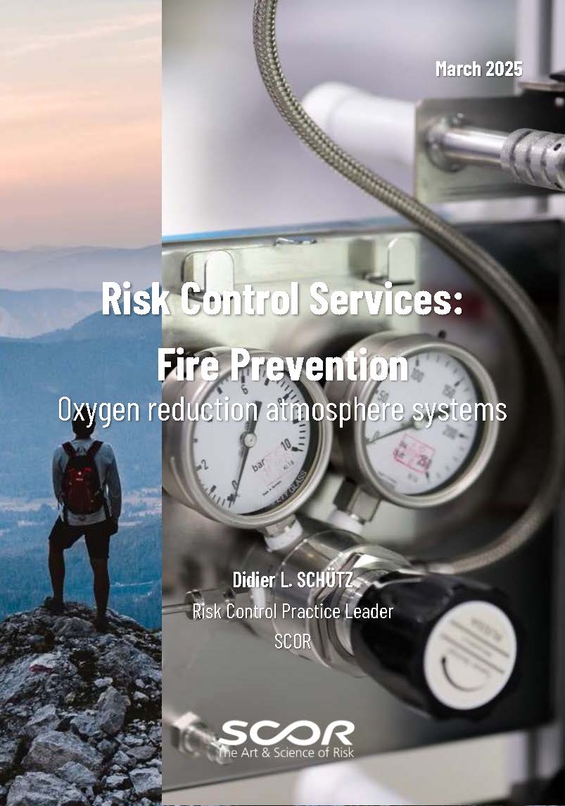 Oxygen reduction atmosphere systems handbook cover