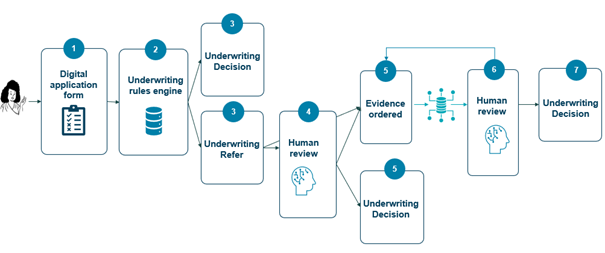 Chart Underwriting Flow for Protecting Product