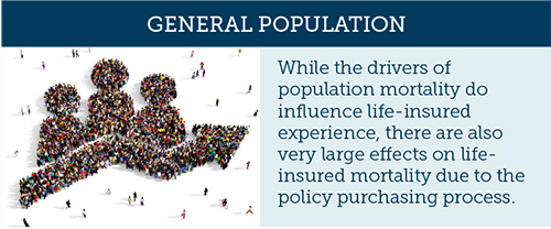 Population graphic