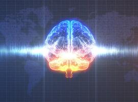 202408_SCOR_LH_ExpertViews_Mental-Health-and-Physical-Activity