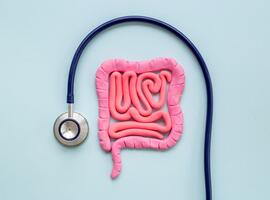 Plasticine model of intestines with a stethoscope