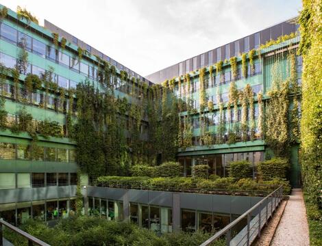 Interior courtyard at SCOR's Paris headquarters with vegetation