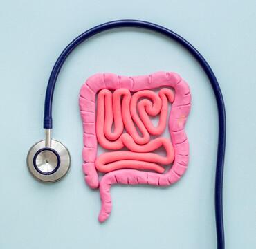 Plasticine model of intestines with a stethoscope