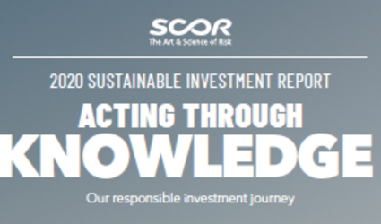 2020 Sustainable Investment Report e-accessible