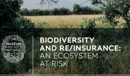MNHN-Report_Biodiversity_and_Reinsurance_An_Ecosystem_at_Risk-April2021
