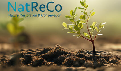 202405_SCOR_Restore-Product-Launch