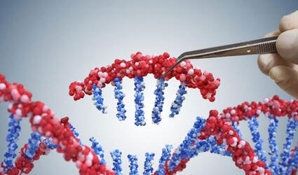 20230425_SCOR-UK_Article_CRISPR-Engineering-a-better-future