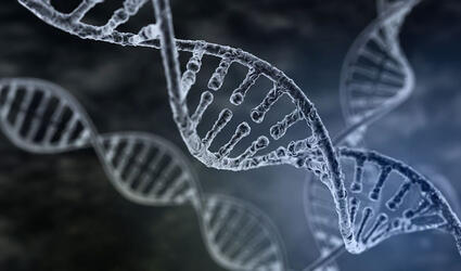 20230425_SCOR-UK_Article_mRNA vaccines