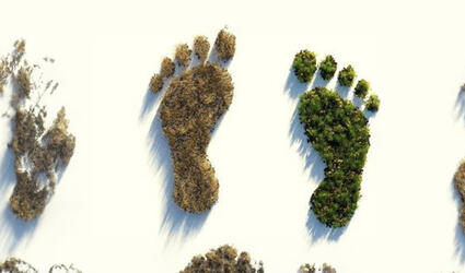 20230927_SCOR-UK_Article_LH_Ecological Footprint