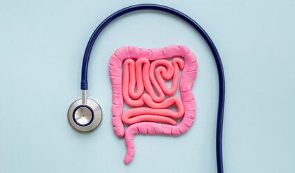 Plasticine model of intestines with a stethoscope