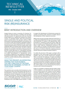 Single and political risk (Re)insurance