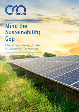 Mind the sustainability gap