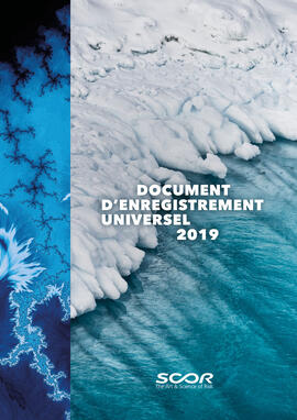 Document d'enregistrement universel 2019