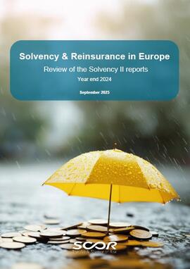 Cover of EV Solvency & Reinsurance in Europe