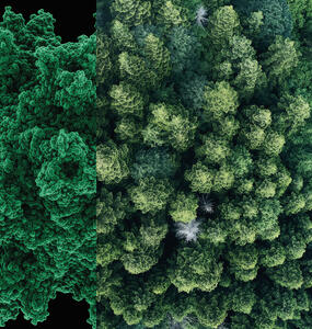SCOR_Climate_2019_Cover_paysage