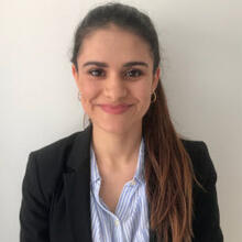 Marie Vernichon - Investor Relations Analyst