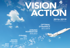 Vision in action